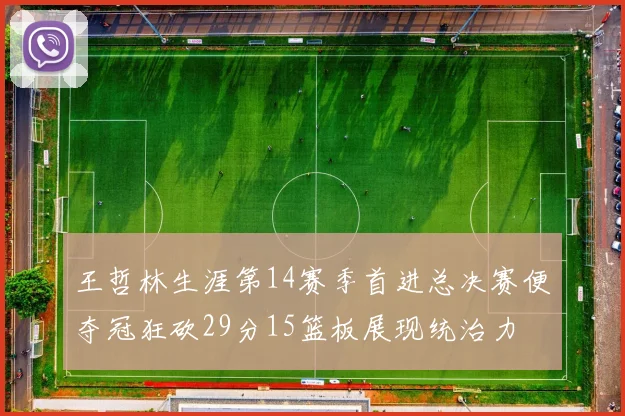 王哲林生涯第14赛季首进总决赛便夺冠狂砍29分15篮板展现统治力