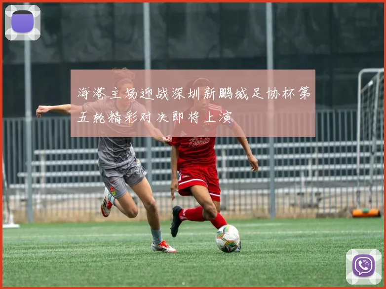 海港主场迎战深圳新鹏城足协杯第五轮精彩对决即将上演
